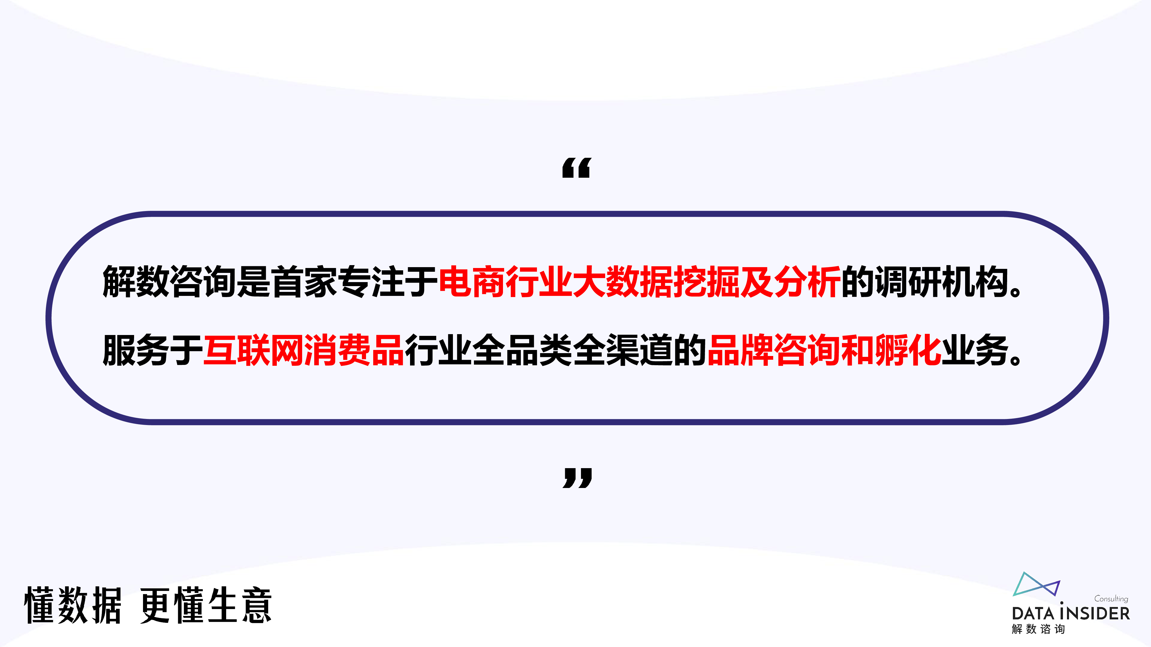 解数咨询2024双十一大促总结报告33页